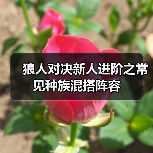 狼人对决新人进阶之常见种族混搭阵容(图4) 狼人对决新人进阶之常见种族混搭阵容(图4)