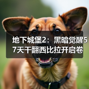 地下城堡2:黑暗觉醒57天干翻西比拉开启卷轴4(图3) 地下城堡2:黑暗觉醒57天干翻西比拉开启卷轴4(图3)