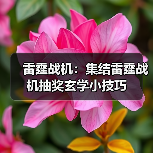 雷霆战机：集结雷霆战机抽奖玄学小技巧