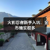 火影忍者新手入坑，金币确实很多（图4）