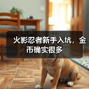 火影忍者新手入坑，金币确实很多（图2）