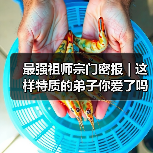 最强祖师宗门密报 | 这样特质的弟子你爱了吗(图2) 最强祖师宗门密报 | 这样特质的弟子你爱了吗(图2)