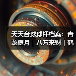 天天台球球杆档案:青龙偃月|八方来财|鹤舞玄羽(图4) 天天台球球杆档案:青龙偃月|八方来财|鹤舞玄羽(图4)