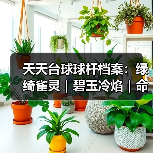 天天台球球杆档案:绿绮雀灵|碧玉冷焰|命运狙击(图1) 天天台球球杆档案:绿绮雀灵|碧玉冷焰|命运狙击(图1)