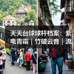 天天台球球杆档案：紫电青霜｜竹破云音｜流萤之火