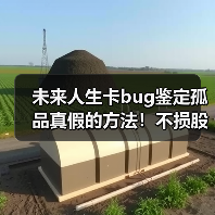 未来人生卡bug鉴定孤品真假的方法!不损股权!(图2) 未来人生卡bug鉴定孤品真假的方法!不损股权!(图2)
