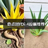 奇点时代6.4股票推荐（图2）