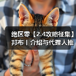 绝区零【2.4攻略征集】邦布丨介绍与代理人推荐(图2) 绝区零【2.4攻略征集】邦布丨介绍与代理人推荐(图2)