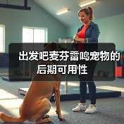 出发吧麦芬雷鸣宠物的后期可用性(图3) 出发吧麦芬雷鸣宠物的后期可用性(图3)