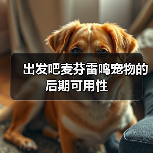 出发吧麦芬雷鸣宠物的后期可用性(图4) 出发吧麦芬雷鸣宠物的后期可用性(图4)