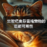 出发吧麦芬雷鸣宠物的后期可用性