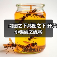 鸿图之下鸿图之下 开荒小锦囊之练将