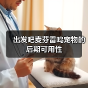 出发吧麦芬雷鸣宠物的后期可用性(图2) 出发吧麦芬雷鸣宠物的后期可用性(图2)