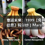 重返未来：1999【角色信息】玛尔纱 | Marsha（图3）