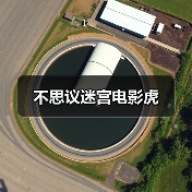 不思议迷宫电影虎（图3）