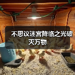 不思议迷宫降临之光破灭万物（图2）