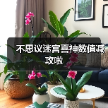 不思议迷宫喜神数值减攻啦（图1）
