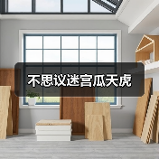 不思议迷宫瓜天虎（图4）