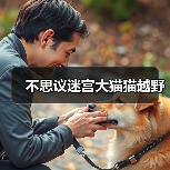 不思议迷宫大猫猫越野(图4) 不思议迷宫大猫猫越野(图4)