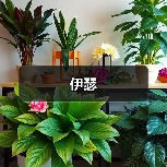 伊瑟(图4) 伊瑟(图4)