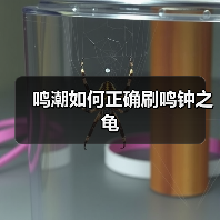 鸣潮如何正确刷鸣钟之龟(图2) 鸣潮如何正确刷鸣钟之龟(图2)