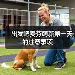 出发吧麦芬萌新第一天的注意事项(图2) 出发吧麦芬萌新第一天的注意事项(图2)