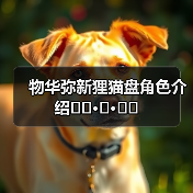 物华弥新狸猫盘角色介绍ฅ՞•ﻌ•՞ฅ（图1）