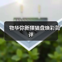物华弥新狸猫盘焕彩简评（图4）