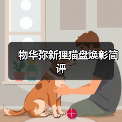 物华弥新狸猫盘焕彰简评（图2）