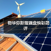 物华弥新狸猫盘焕彰简评（图1）