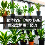 物华弥新【物华弥新】狸猫盘新版一图流（图3）