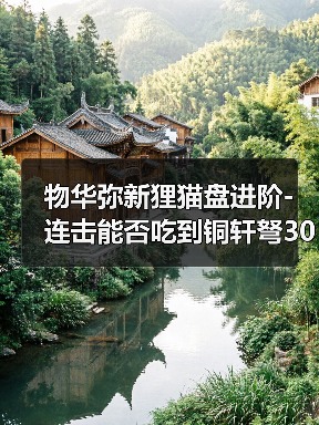 物华弥新狸猫盘进阶-连击能否吃到铜轩弩30伤害加成（图4）