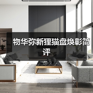 物华弥新狸猫盘焕彰简评（图4）