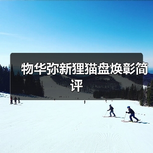物华弥新狸猫盘焕彰简评（图3）