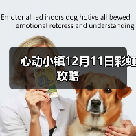 心动小镇12月11日彩虹攻略（图1）