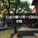心动小镇12月11日彩虹攻略（图3）