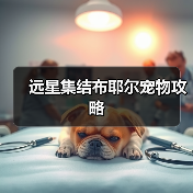 远星集结布耶尔宠物攻略（图3）