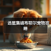 远星集结布耶尔宠物攻略（图4）