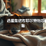 远星集结布耶尔宠物攻略（图2）