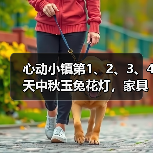 心动小镇第1、2、3、4天中秋玉兔花灯，家具泡泡位置（图1）