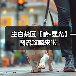 尘白禁区【晴-霆光】一图流攻略来啦（图3）