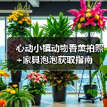 心动小镇动物香薰拍照+家具泡泡获取指南（图3）