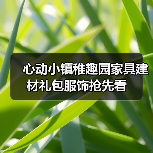 心动小镇稚趣园家具建材礼包服饰抢先看（图2）