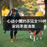心动小镇奶茶鼠全10件家具承重清单（图3）