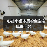 心动小镇本周粉色泡泡位置汇总(图3) 心动小镇本周粉色泡泡位置汇总(图3)