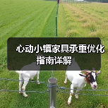 心动小镇家具承重优化指南详解（图2）