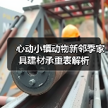 心动小镇动物新邻季家具建材承重表解析（图3）