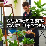 心动小镇粉色泡泡家具怎么找？15个位置全解析（图4）