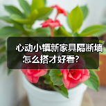 心动小镇新家具隔断墙怎么搭才好看？（图3）