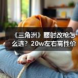 《三角洲》腰射改枪怎么选?20w左右高性价比方案全揭秘(图4) 《三角洲》腰射改枪怎么选?20w左右高性价比方案全揭秘(图4)